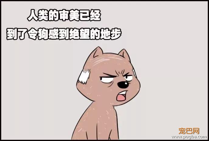 面对这样的主人，我们佛系做狗-2.jpeg