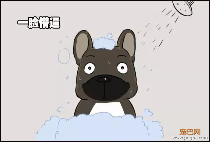 面对这样的主人，我们佛系做狗-6.jpeg