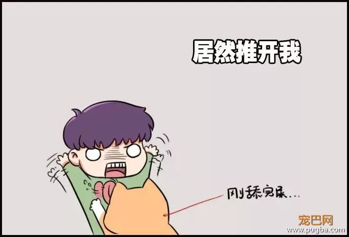 面对这样的主人，我们佛系做狗-3.jpeg