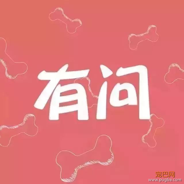 柯基也有地域之争！双基傍地走，安能辨我从哪来-1.jpeg