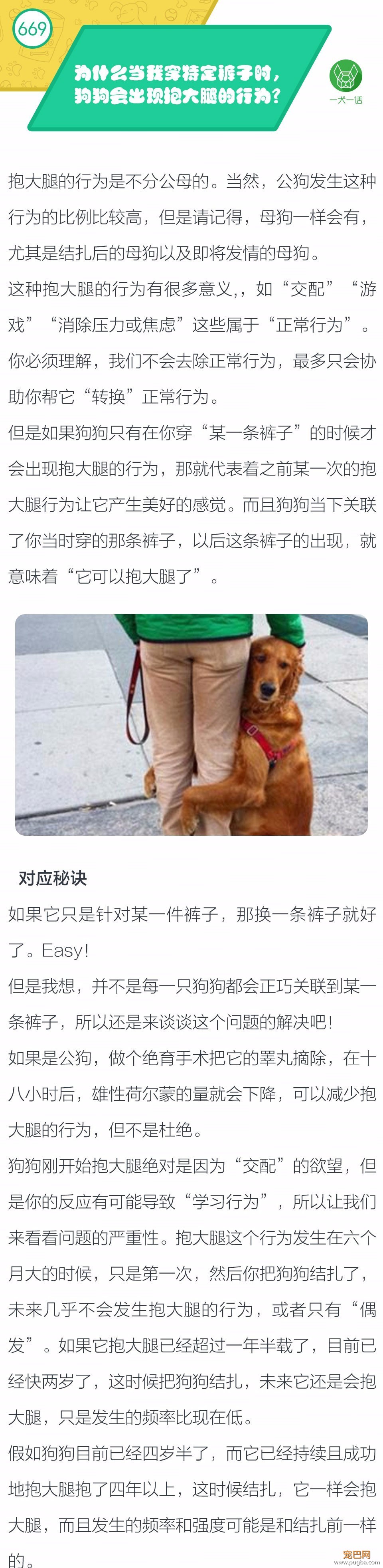 为什么当我穿特定裤子时，狗狗会出现抱大腿的行为？-1.jpeg