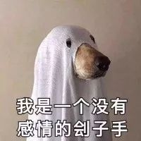 听说现在的养狗人士人才辈出？"佛系养狗法"了解一下-8.jpeg