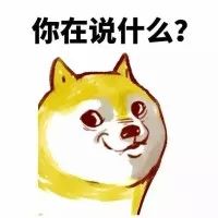 听说现在的养狗人士人才辈出？"佛系养狗法"了解一下-11.jpeg