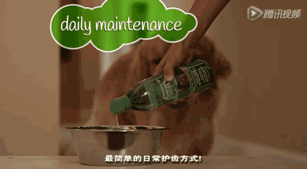 请给狗子来瓶好用的洁齿水@微信官方-7.gif