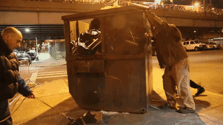 白天做宠物，晚上去捕鼠。专为“多管闲事”而生的狗狗-24.gif