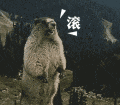 有些人看起来很好相处，实际上………啧啧……-7.gif