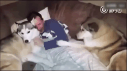 有些人看起来很好相处，实际上………啧啧……-6.gif