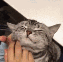 有些人看起来很好相处，实际上………啧啧……-2.gif