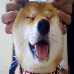 有些人看起来很好相处，实际上………啧啧……-5.gif
