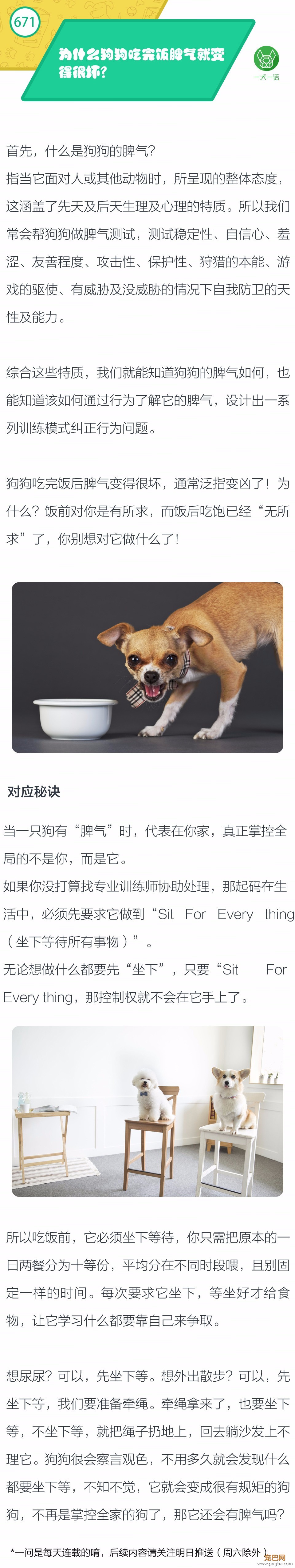 为什么狗狗吃完饭脾气就变得很坏？-1.jpeg