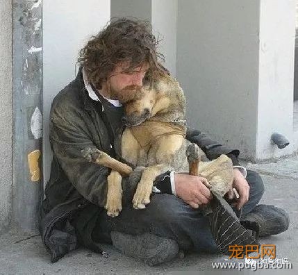 15个狗狗的感人故事，看完泪目！-1.jpeg