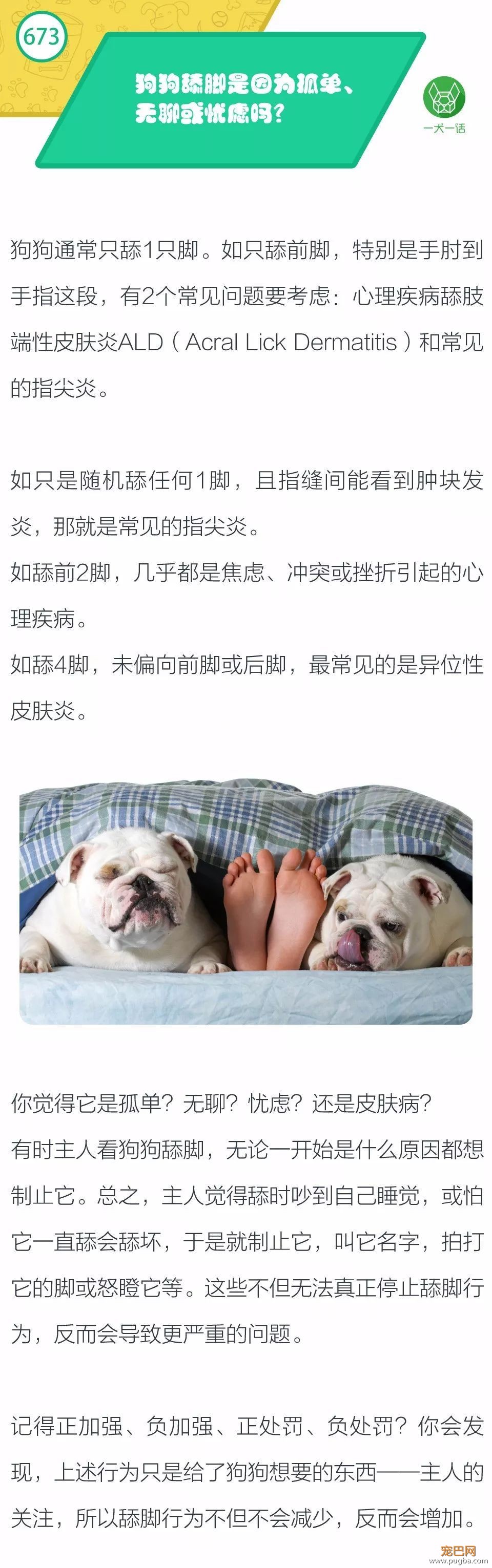 狗狗舔脚是因为孤单、无聊或忧虑吗？-1.jpeg