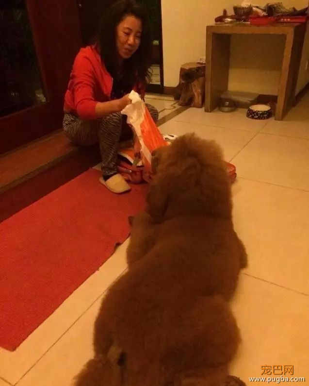 珍惜那些养狗的朋友吧，你不造他为了见你受了多大的考验...-22.jpeg