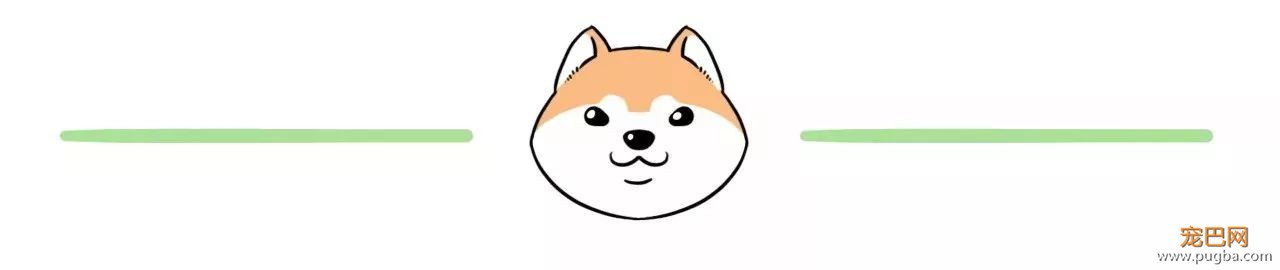 当父母养宠物之后，你会发现……-2.jpeg