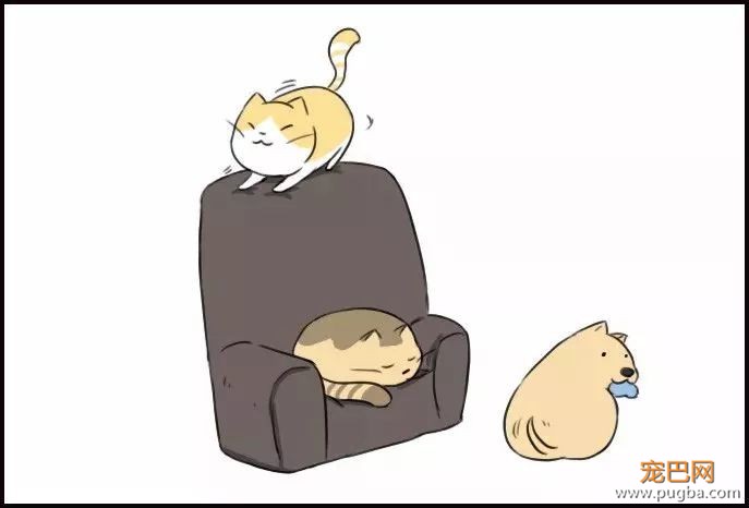当父母养宠物之后，你会发现……-7.jpeg