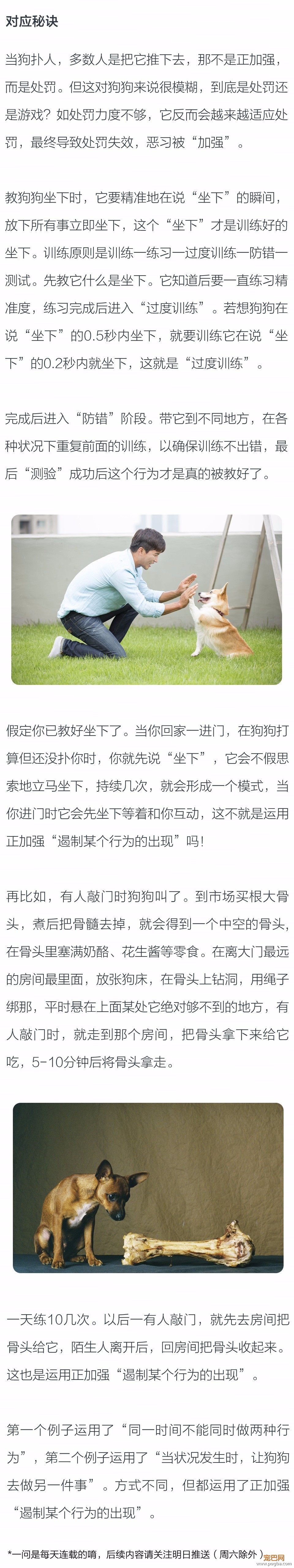 如何正确使用正加强“遏制某个行为的出现”？-2.jpeg