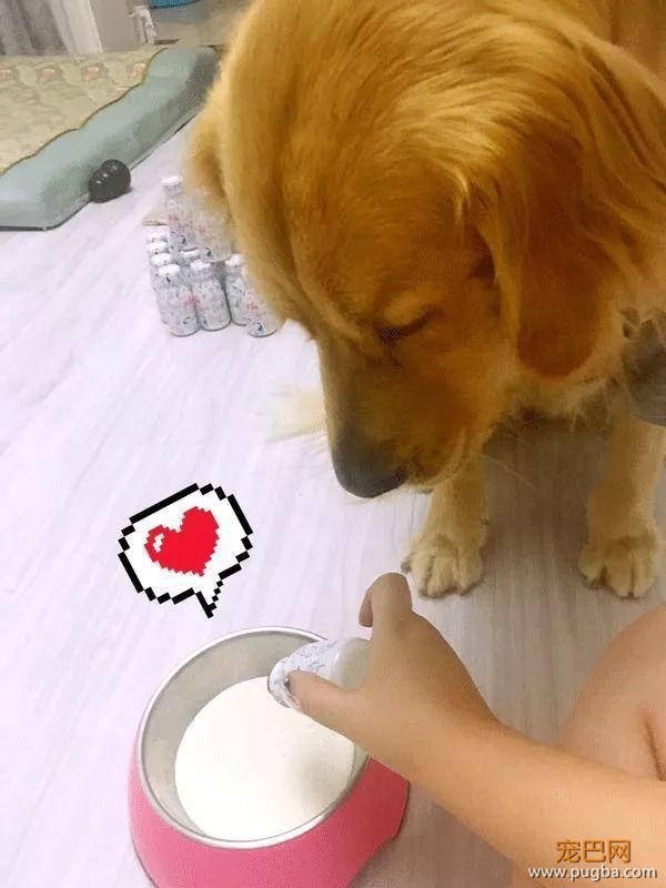请问，我能送你294瓶酸奶吗？-5.jpeg