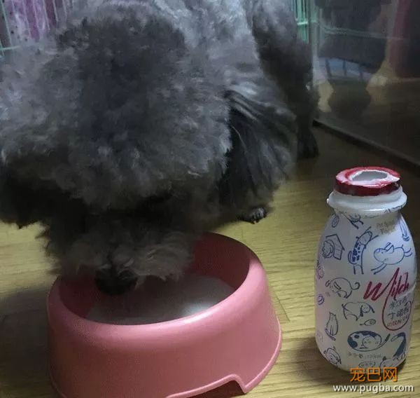 请问，我能送你294瓶酸奶吗？-12.jpeg