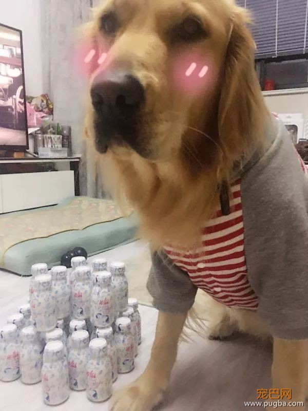 请问，我能送你294瓶酸奶吗？-11.jpeg