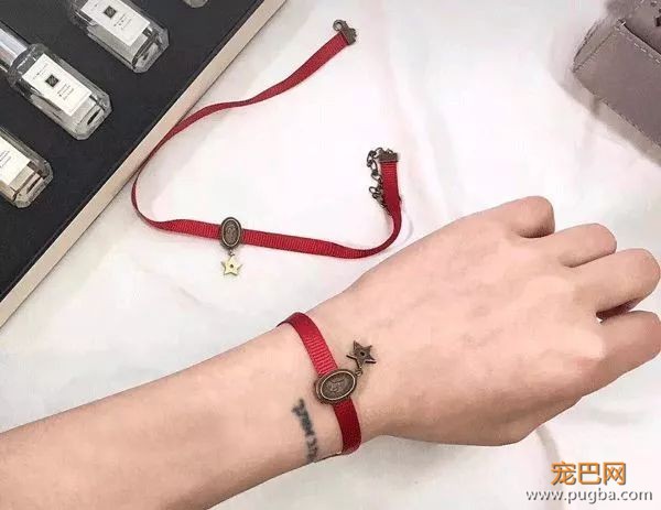各路大牌行行好，求你们别出什么狗年限量款了！-15.jpeg