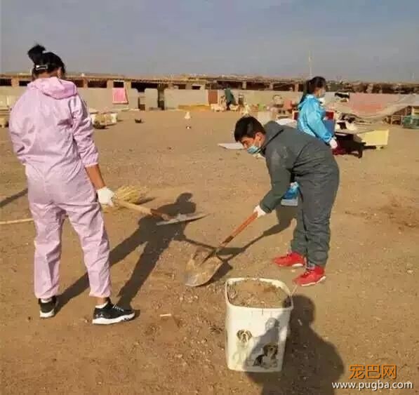 “这狗本来就买回去吃的，我就用车拖它怎么了？有本事抓我啊？！”-13.jpeg