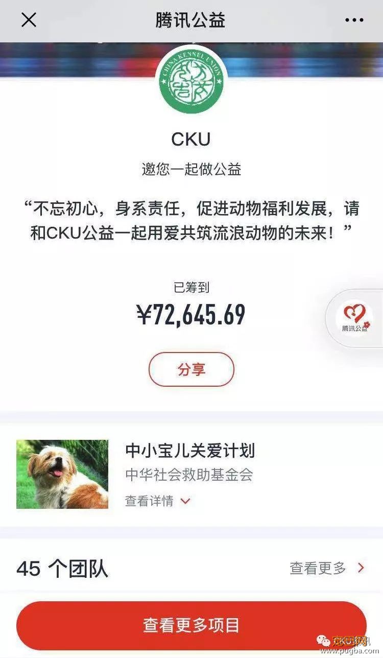 99公益日 | CKU寻找公益伙伴--CKU公益之星喊你一起做好事！-2.jpeg