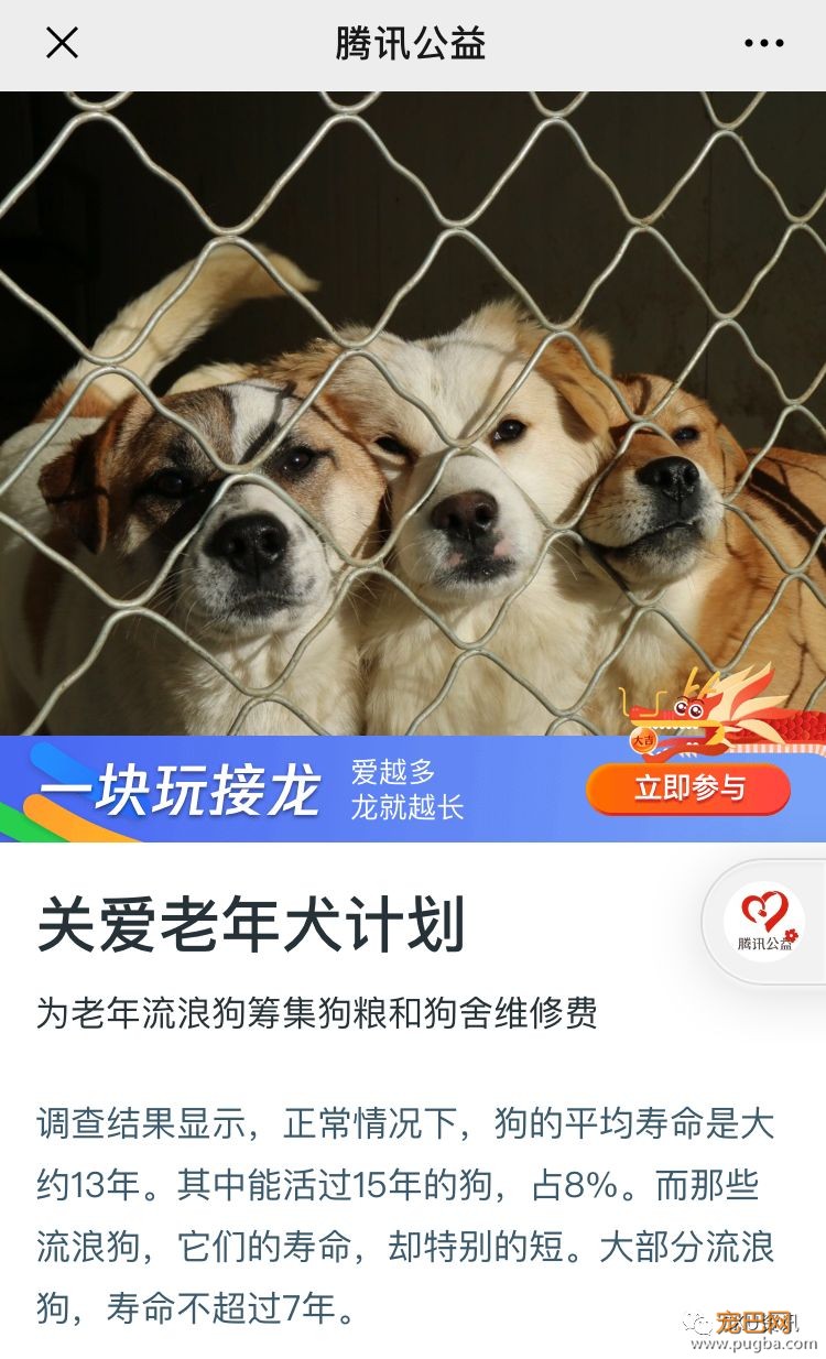 99公益日 | CKU寻找公益伙伴--CKU公益之星喊你一起做好事！-4.jpeg