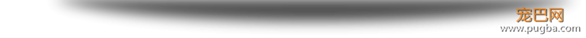 99公益日 | CKU寻找公益伙伴--CKU公益之星喊你一起做好事！-9.png