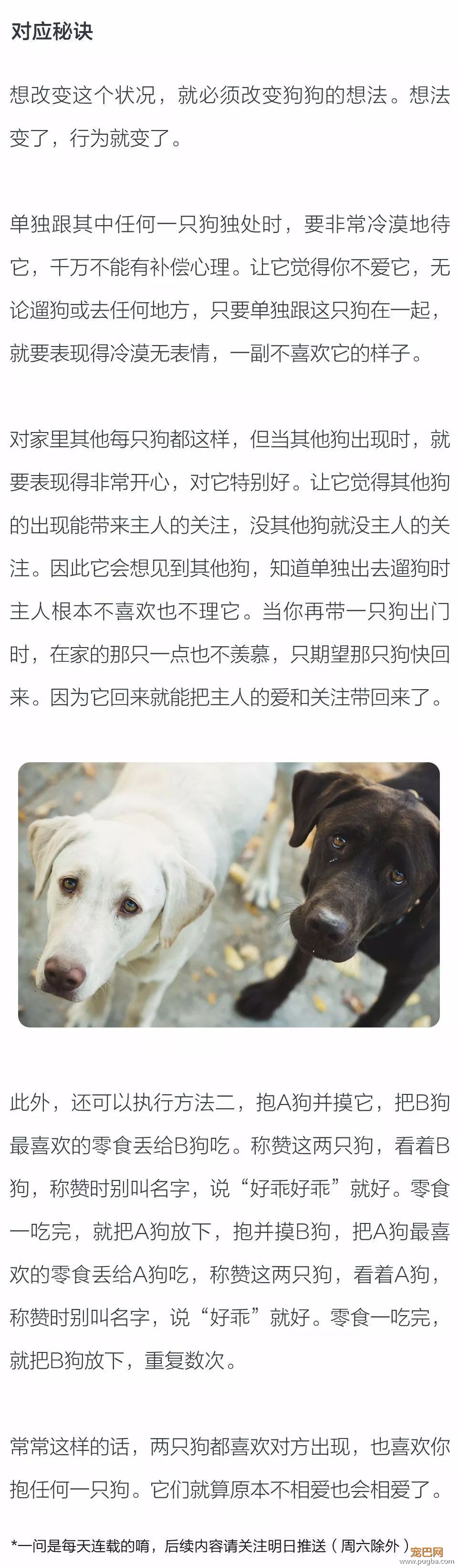 遛家里其中一只狗时，其他狗叫是不是因为不满？-2.jpeg