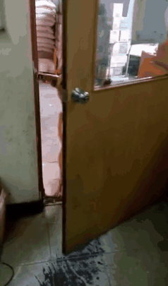 用心良苦的主人在狗砸身上挂了一块牌子，结果收到了这样的回复……-5.gif