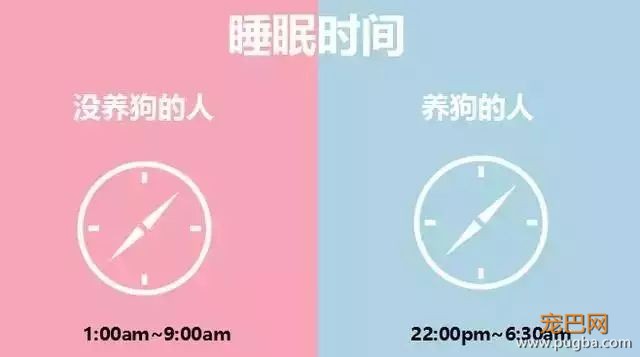 养狗的人vs不养狗的人，大概就是两个世界的吧-4.jpeg