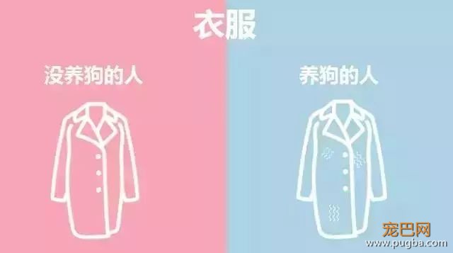 养狗的人vs不养狗的人，大概就是两个世界的吧-7.jpeg