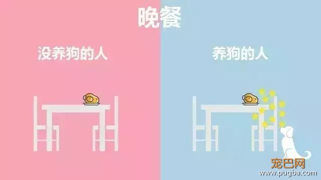 养狗的人vs不养狗的人，大概就是两个世界的吧-5.jpeg