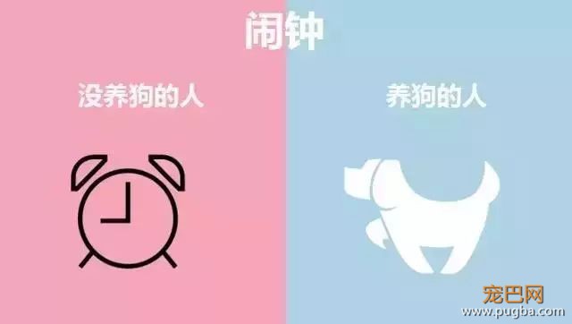 养狗的人vs不养狗的人，大概就是两个世界的吧-2.jpeg