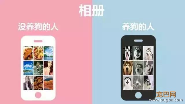 养狗的人vs不养狗的人，大概就是两个世界的吧-10.jpeg