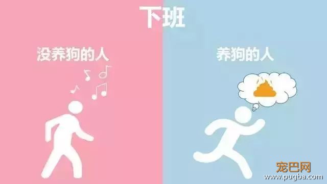 养狗的人vs不养狗的人，大概就是两个世界的吧-9.jpeg