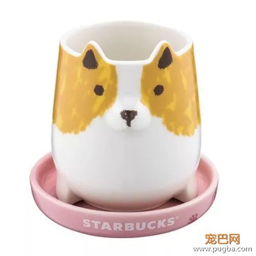 平时叫我多喝热水的各位，请送我一个星巴克汪星杯-23.jpeg