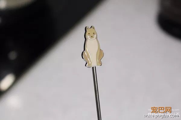 平时叫我多喝热水的各位，请送我一个星巴克汪星杯-45.jpeg