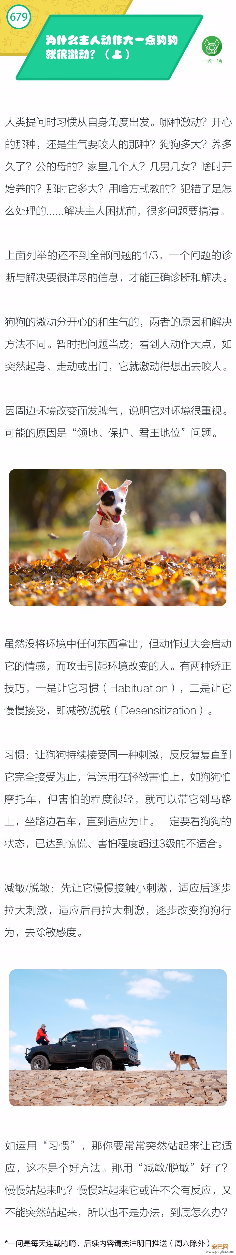 为什么主人动作大一点狗狗就很激动？（上）-1.jpeg
