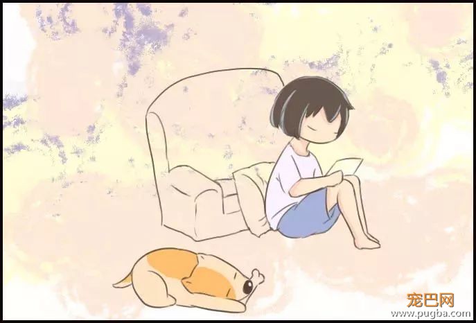 养狗之后才知道……-7.jpeg
