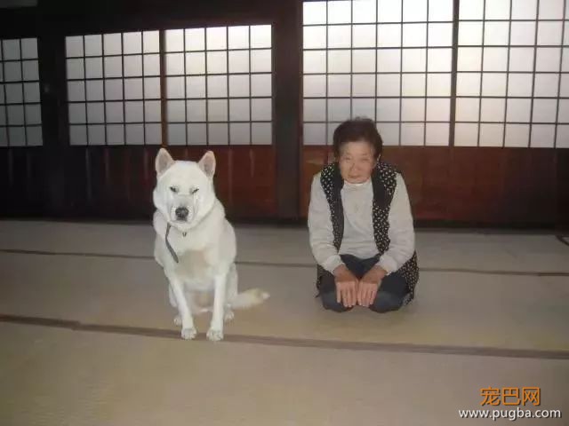 参禅打坐14年，这才是根正苗红的佛系狗-10.jpeg