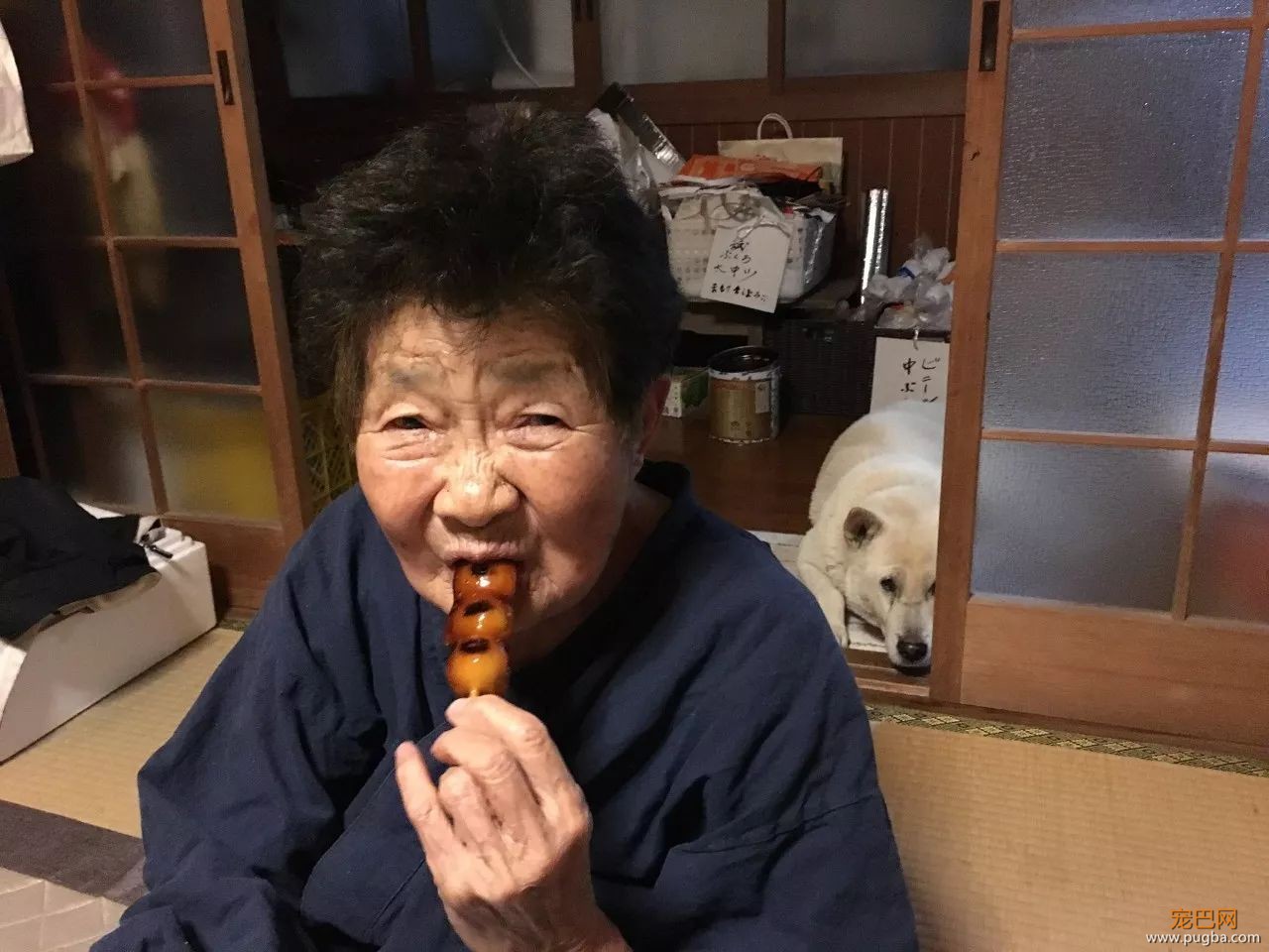 参禅打坐14年，这才是根正苗红的佛系狗-23.jpeg
