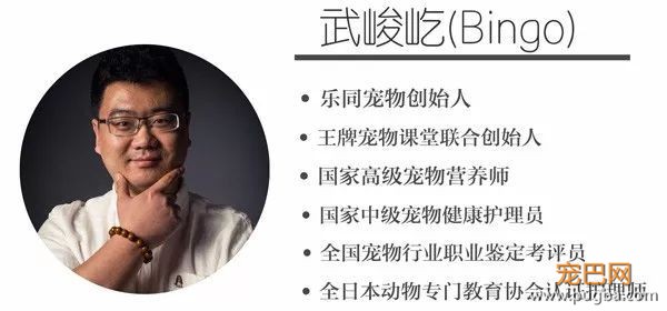 12天拿12个国家认可的宠物行为训导证书-11.jpeg