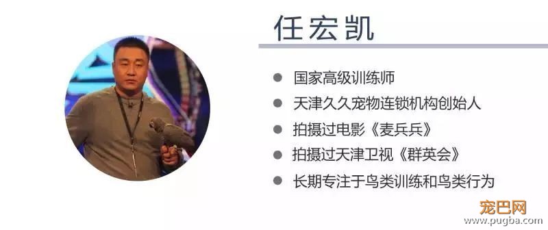 12天拿12个国家认可的宠物行为训导证书-12.jpeg