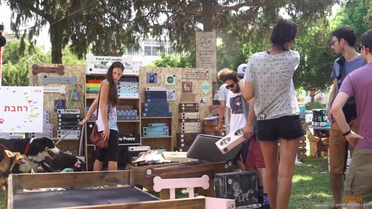 中东这座城不仅风景如画，更是狗狗们的天堂-49.jpeg