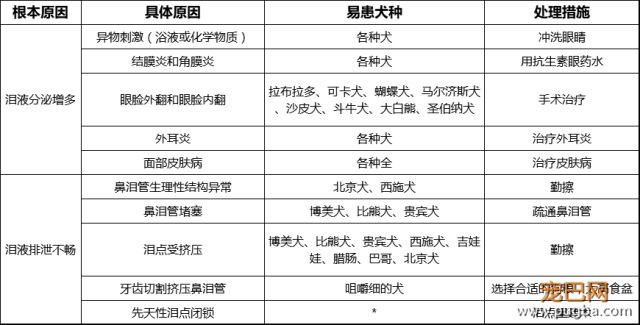 狗狗泪痕知多少？-3.jpeg
