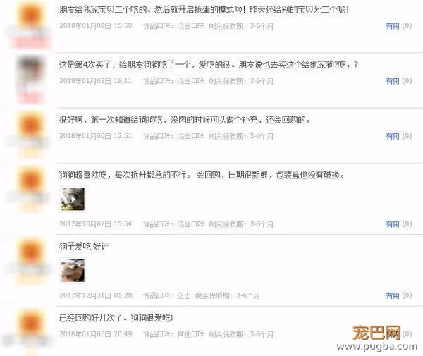吃大便、爱啃墙、消化不良？一个蛋就能帮它恢复元气-15.jpeg