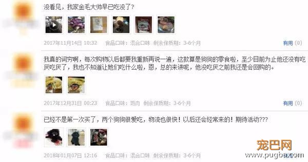 吃大便、爱啃墙、消化不良？一个蛋就能帮它恢复元气-16.jpeg