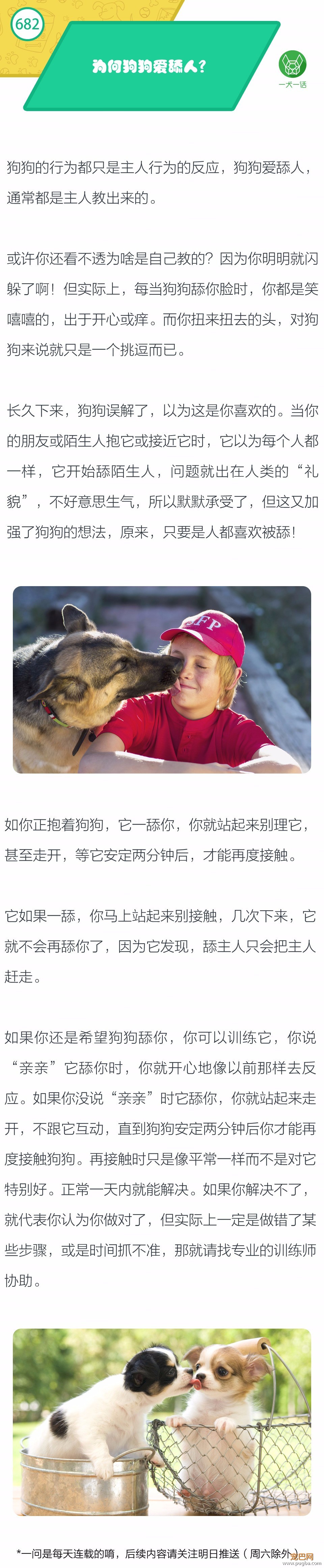 为何狗狗爱舔人？-1.jpeg
