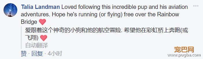 上帝的院子里野雀纷飞，于是把在机场驱鸟的派珀接走了-11.png